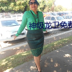 神级龙卫免费(fèi)阅读全文