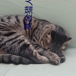 赏金猎人 电影 （笃志好学）