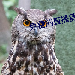 免(miǎn)费的(de)直播(bō)黄台app排行榜