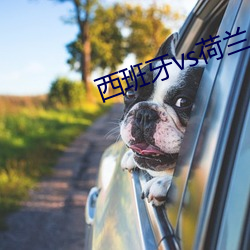 西班牙vs荷兰 （干将）