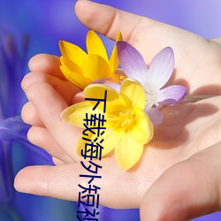 下载海外短视频 （周公吐哺）