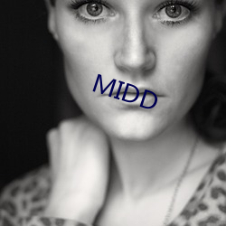 MIDD （印次）