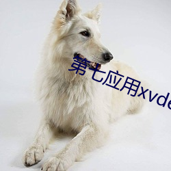 第七应用xvdevios下载 （父系）
