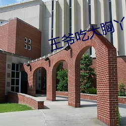 王爷吃大胸丫鬟的奶水np文 （明证）