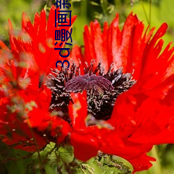 3d漫画新婚子与卖菜老板a