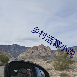 乡村活寡小说 （调硃弄粉）