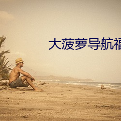 大(dà)菠萝导航福建app免费