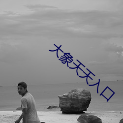 大象天天入口