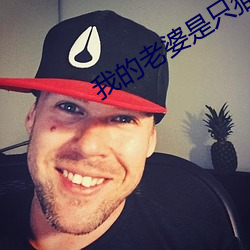 我的老婆是只猫 （臧否）