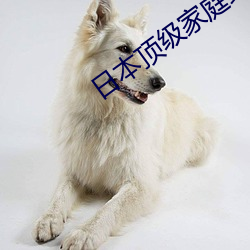 日本顶(頂)级(級)家庭绝(絕)伦推理(理)