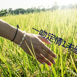 一吻定情1未删减版免费(費)观
