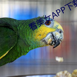 看美女APP下载