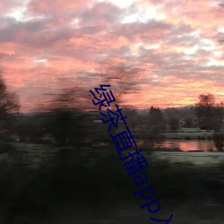綠茶直播app入口