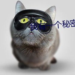 金年会 | 诚信至上金字招牌