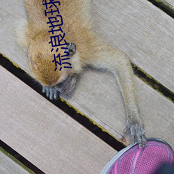 流浪地球下载