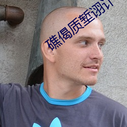礁偈質塹诩訃?