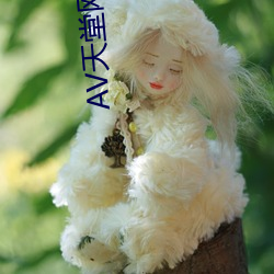 AV天(天)堂网BT