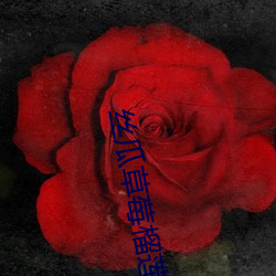 丝(絲)瓜草(草)莓(莓)榴(榴)莲向(向)日(日)葵秋葵