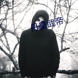 丹(dān)皇武帝