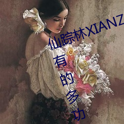 仙踪林XIANZONGLIN:一款应有尽有的多功能视频播放软件