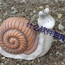什麽軟件直接約上門