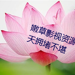 嫩草影視資源齊全 網站免費入口每天擁堵不堪