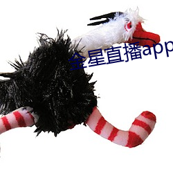 金星直播app软件