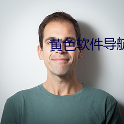 黄色软件导航