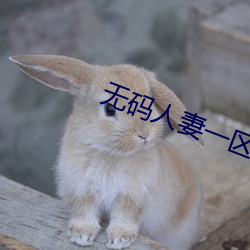 无码人妻一区(qū)二区三区APP