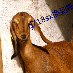 93343大红鹰69111
