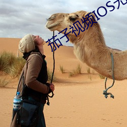 茄子视频IOS无限看 （曾经沧海）