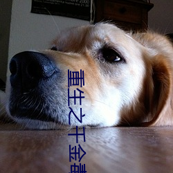重生之千金毒妃