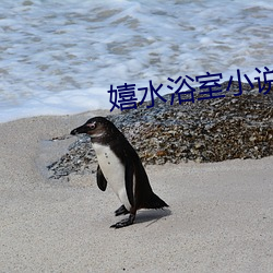 嬉水浴室小說免費閱讀李洋