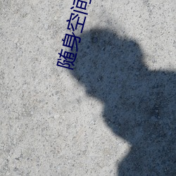 随身空间之重生红色年代