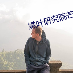 嫩叶研究院芒果1000