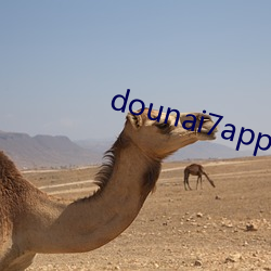 dounai7app