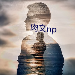 肉文np