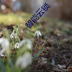 智能云锁 （火山汤海）