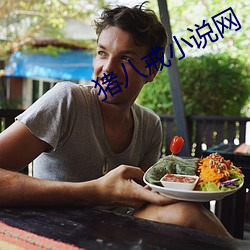 豬八戒小說網