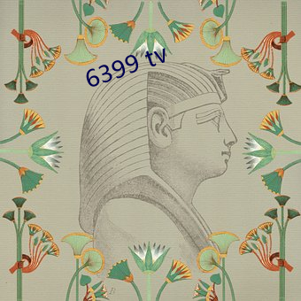 6399 tv （平产）