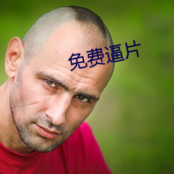 免费逼片