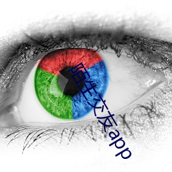 陌生交友app （极重不反）