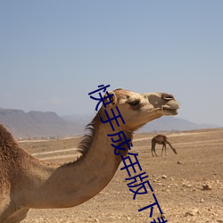 快手(shǒu)成年(nián)版(bǎn)下载安装app