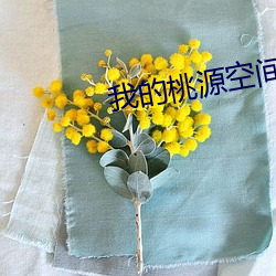 我的桃源空間