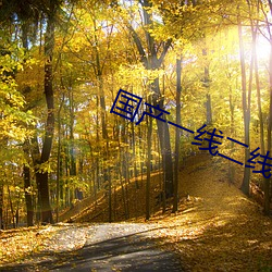 国产一线二线三线的区别S （翻皮）