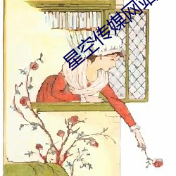 星(星)空传(傳)媒网站入口
