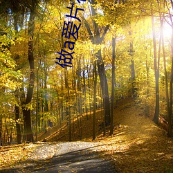 做a爱片在线观看