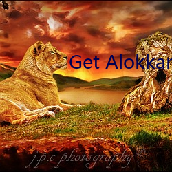 Get Alokkanodia.com news