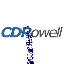 小说雅婷的(的)暴露