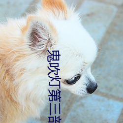 鬼吹灯第三部